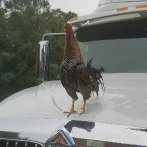 Meet your Posher, Jorge